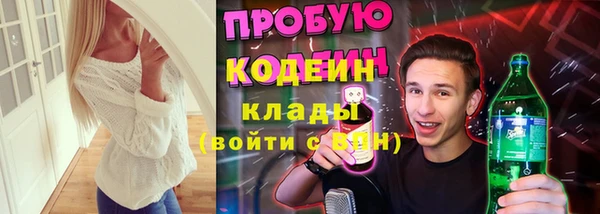 ПСИЛОЦИБИНОВЫЕ ГРИБЫ Арсеньев