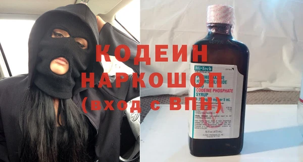 ПСИЛОЦИБИНОВЫЕ ГРИБЫ Арсеньев