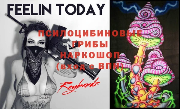 ПСИЛОЦИБИНОВЫЕ ГРИБЫ Арсеньев