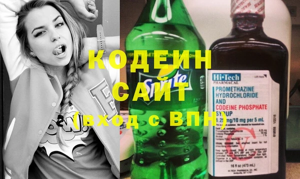ПСИЛОЦИБИНОВЫЕ ГРИБЫ Арсеньев