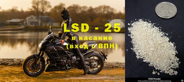 ПСИЛОЦИБИНОВЫЕ ГРИБЫ Арсеньев