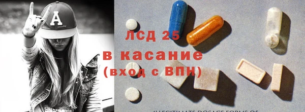 ПСИЛОЦИБИНОВЫЕ ГРИБЫ Арсеньев